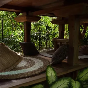  Domek letniskowy Roots Tree House